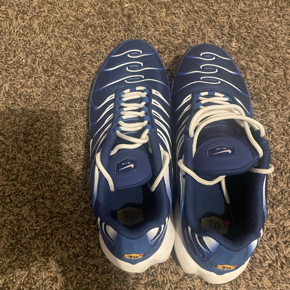 Nike AirMax Plus " Arctic Blue "